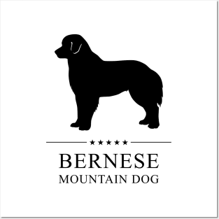 Bernese Mountain Dog Black Silhouette Posters and Art